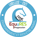 macaron-event-progression2021-web