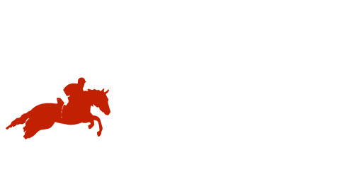 MONDIAL DU LION