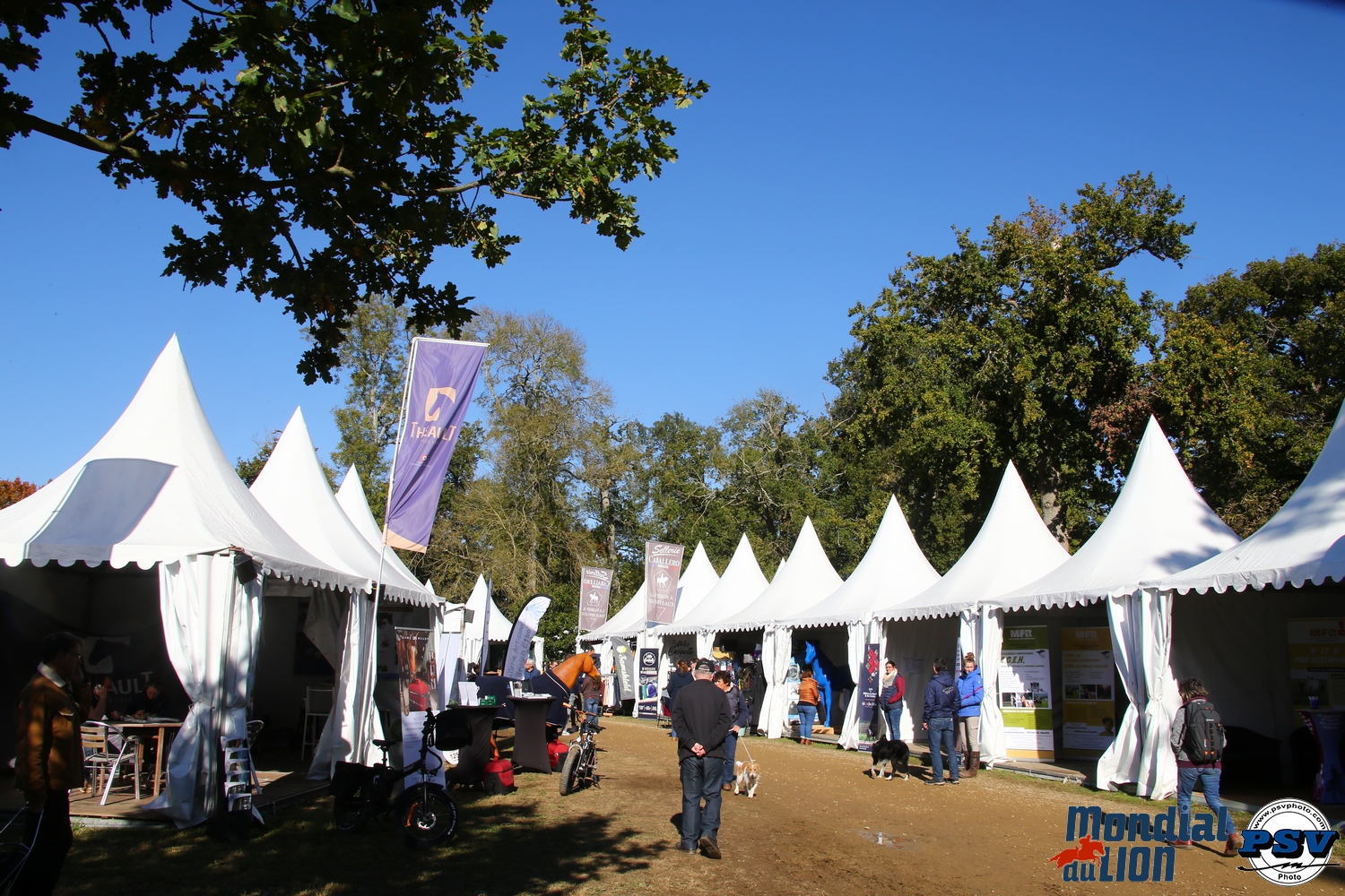 1 : AMBIANCE VILLAGE : AMBIANCE VILLAGE