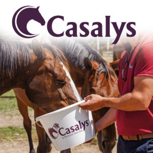 visuel Casalys_site_Mondialdulion_300x300