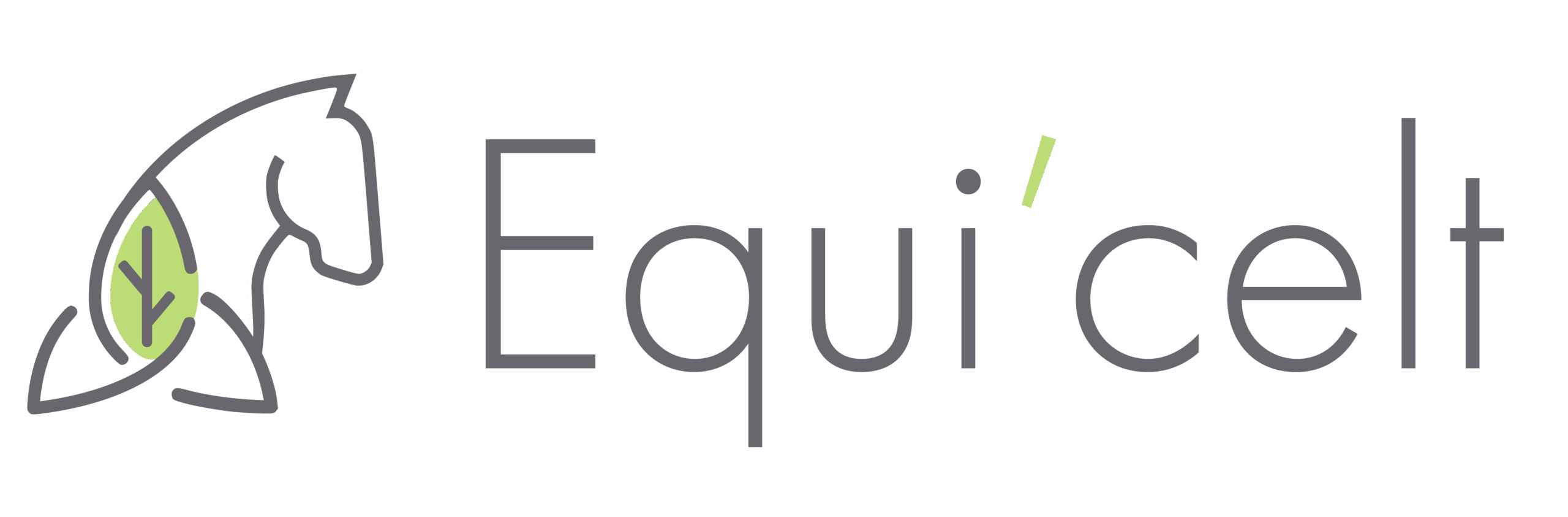 Logo Equi'celt