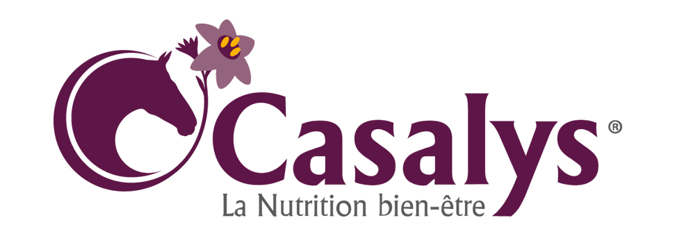 Logo Casalys