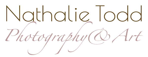 Logo Nathalie Todd